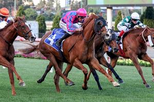 EXCITING WINNER FOR WIDDEN STALLION